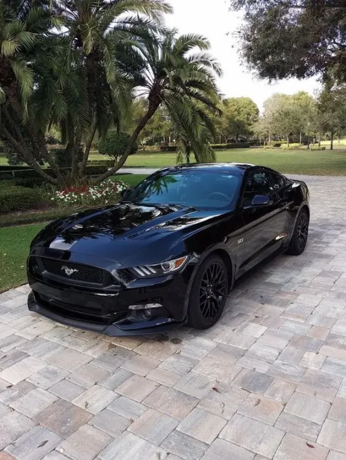 Ravoony Plus Glossy Crystal Black Car Vinyl Wrap review 