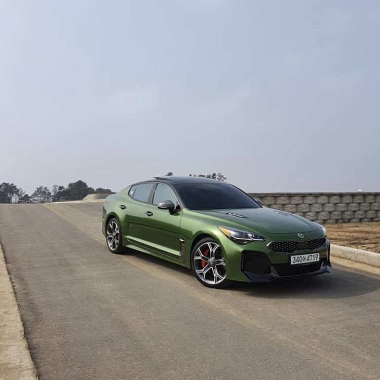 Ravoony Plus Glossy Metallic Mamba Green Car Vinyl Wrap review Dee Wright