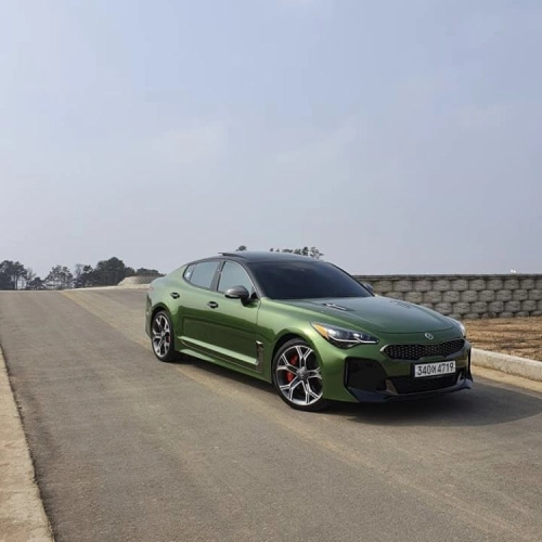 Ravoony Plus PET Glossy Metallic Mamba Green Car Vinyl Wrap review 