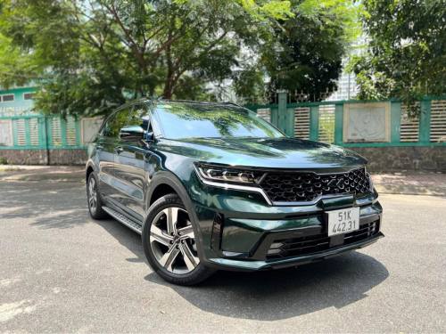 Ravoony Plus Blackish Green Car Vinyl Wrap review 