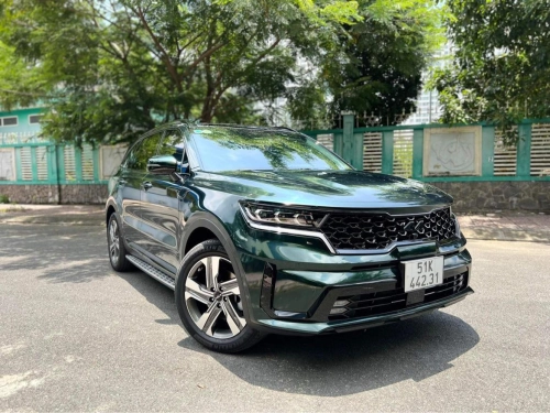 Ravoony Plus PET Blackish Green Car Vinyl Wrap review 