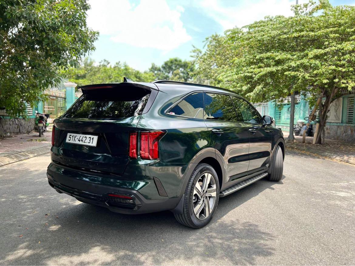 Ravoony Plus Blackish Green Car Vinyl Wrap review Alireza Mandegar 01