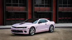 Ravoony Plus Glossy Flower Pink Car Wrap review Lizzette Solis