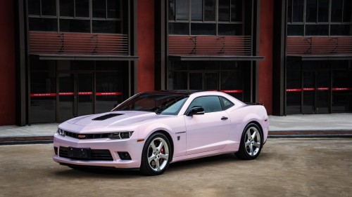 Ravoony Plus Glossy Flower Pink Car Wrap review 