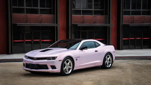 Ravoony Plus Glossy Flower Pink Car Wrap review 