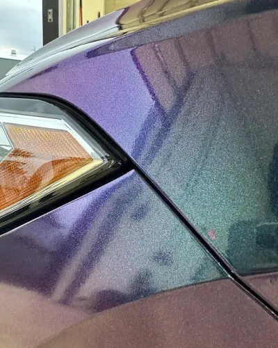 Ravoony Plus Purple And Blue Chameleon Car Wrap review Kuba Hajder 03