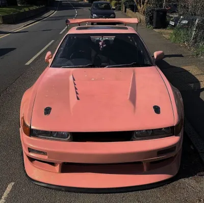 Ravoony Plus Glossy Paggy Pink Car Vinyl Wrap review Javoria  Easley
