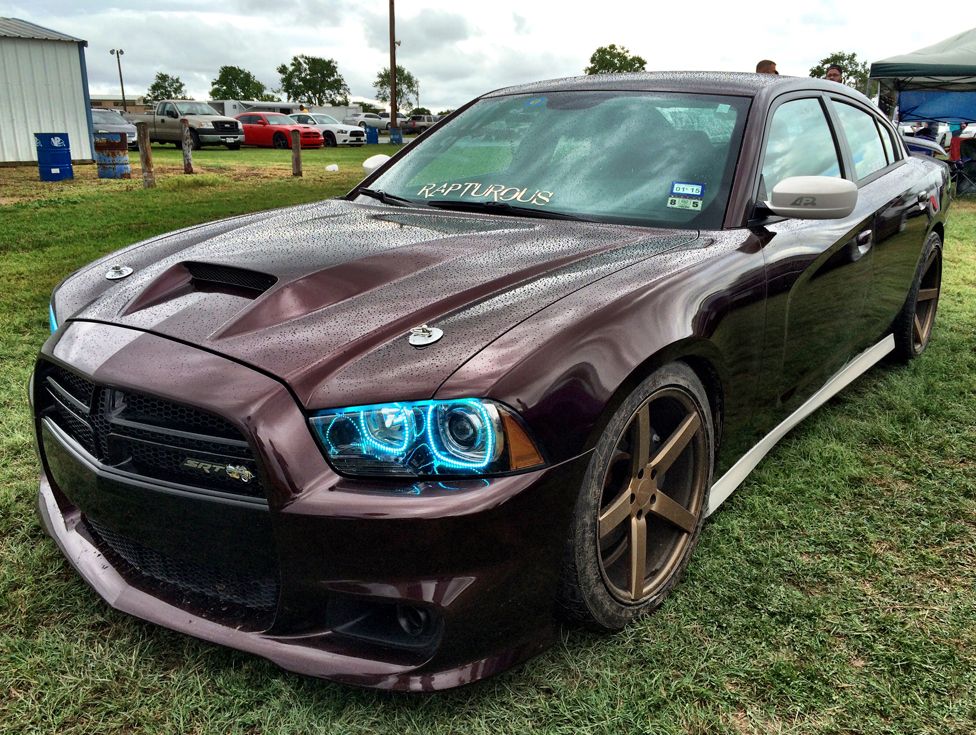 Ravoony Plus Gloss Black Rose Vinyl Wrap review india owens