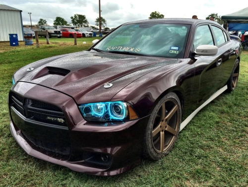 Ravoony Plus PET Gloss Black Rose Vinyl Wrap review 