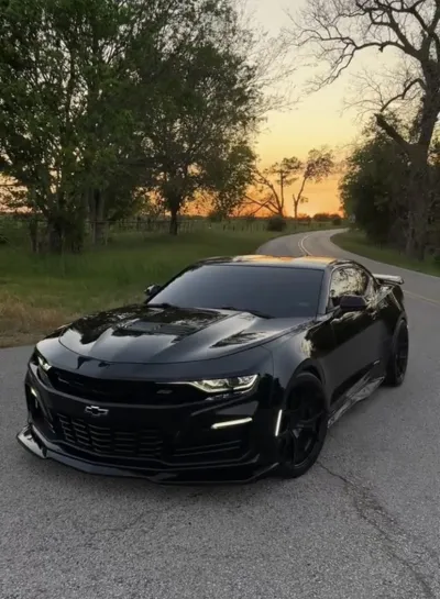 Ravoony Plus PET Gloss Black Car Wrap review Shireen Yahyazadeh