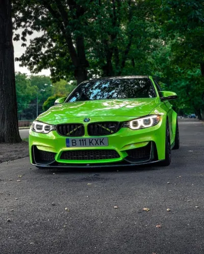 Ravoony Plus Kelly Green Vinyl Wrap review kazra amirrezvani