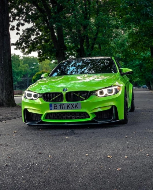 Ravoony Plus PET Kelly Green Vinyl Wrap review 