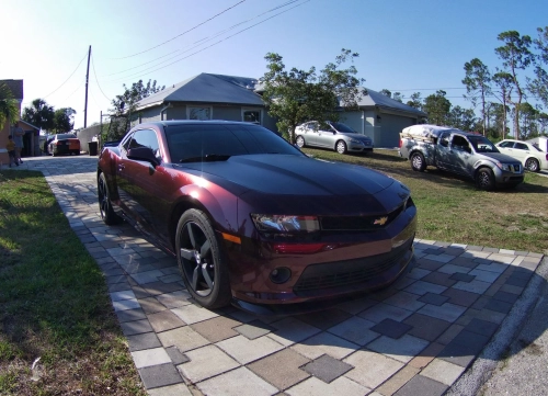 Ravoony Plus PET Gloss Black Rose Vinyl Wrap review 