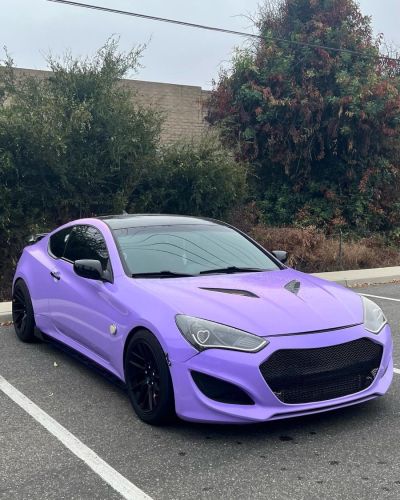 Ravoony Plus Matte Lavender Car Wrap review Marcus Rivera 00