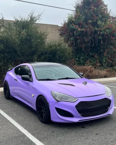 Ravoony Plus Matte Lavender Car Wrap review Marcus  Rivera  00