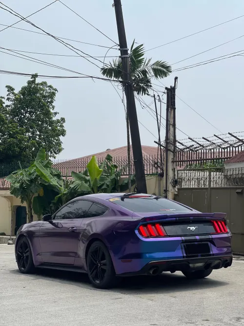 Ravoony Plus Purple And Blue Chameleon Car Wrap review 