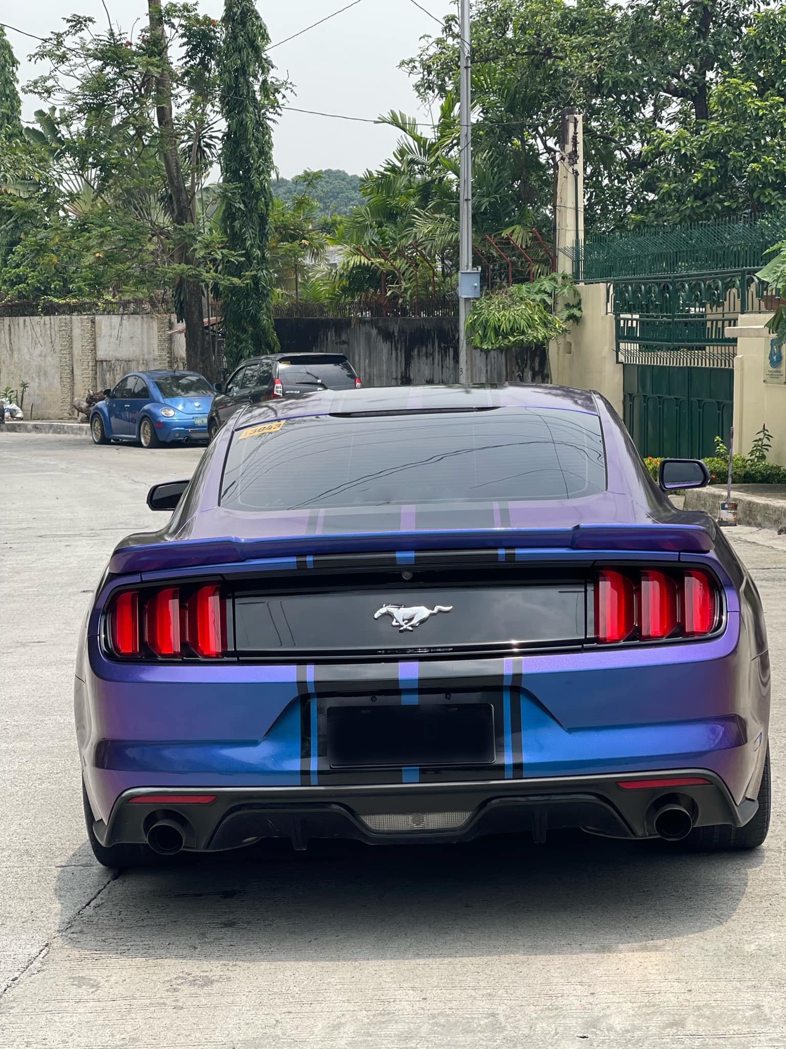 Ravoony Plus Purple And Blue Chameleon Car Wrap review Amanda Burgess 01