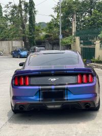 Ravoony Plus Purple And Blue Chameleon Car Wrap review 1