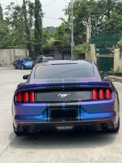 Ravoony Plus Purple And Blue Chameleon Car Wrap review Amanda Burgess 02
