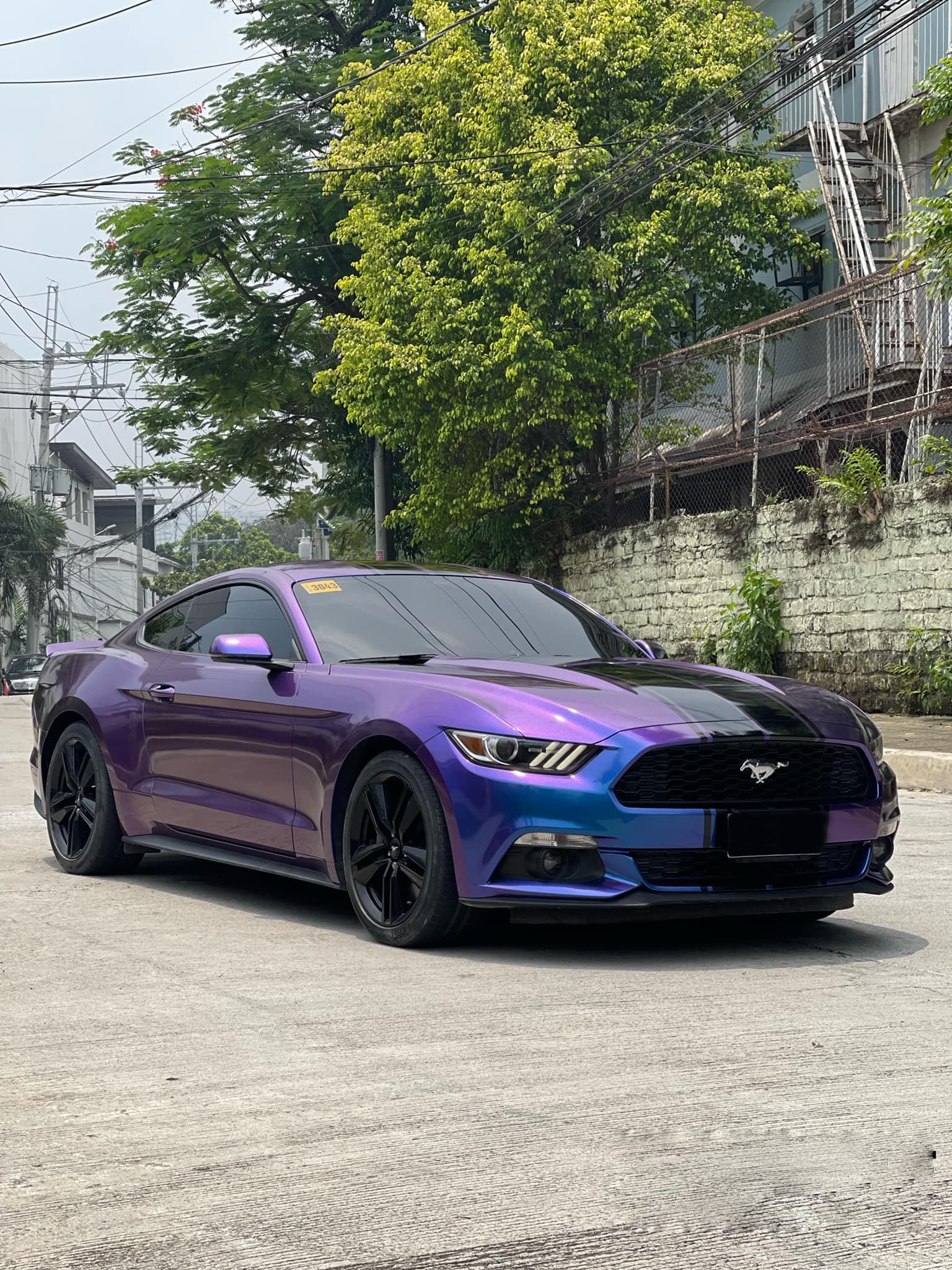 Ravoony Plus Purple And Blue Chameleon Car Wrap review Amanda Burgess 02