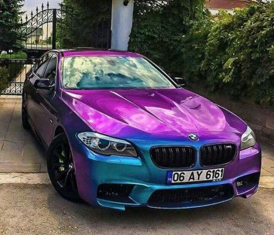 Ravoony Plus Purple And Blue Chameleon Car Wrap review Jeannie Yingling