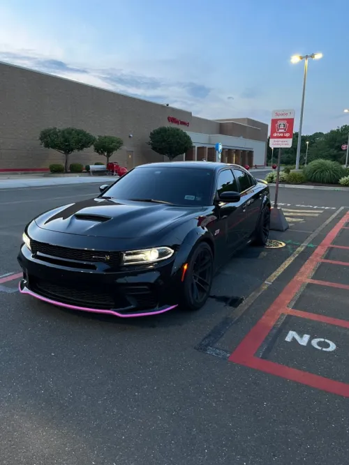 Ravoony Plus PET High Gloss Black Car Wrap review 