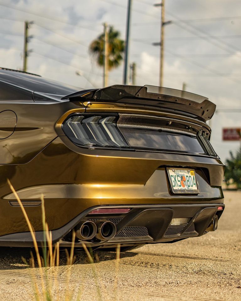 Ravoony Plus Gloss Midnight Gold Car Wrap review William Notz