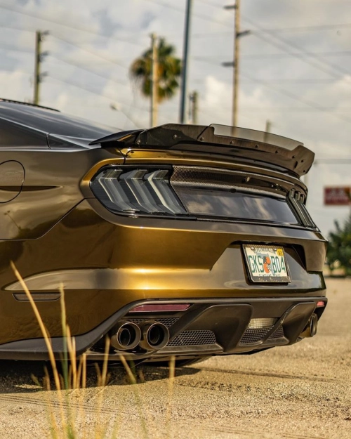 Ravoony Plus PET Gloss Midnight Gold Car Wrap review 