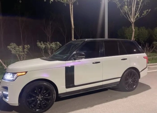 Ravoony Plus PET Glossy White to Purple Vinyl Car Wrap review 