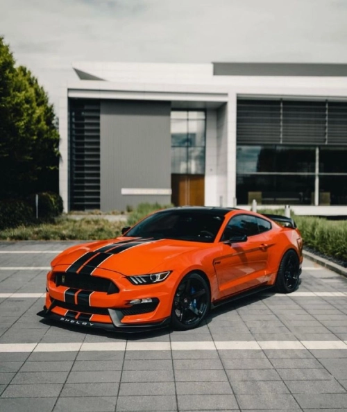 Ravoony Plus PET Gloss Orange Car Wrap review 