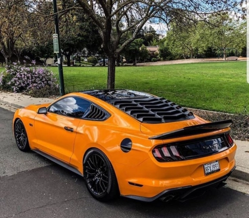 Ravoony Plus Gloss Crystal Mclaren Orange Wrap review 