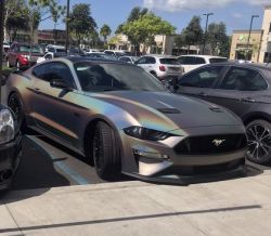 Ravoony Plus Ultimate Flat Laser Grey Car Vinyl Wrap  review gabriel bautista