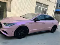Ravoony Plus Twin Magic Pink Car Vinyl Wrap review 0