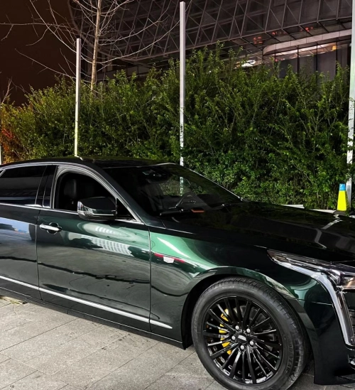 Ravoony Plus PET Gloss Pearlized Benz Emerald Green Car Vinyl Wrap review 