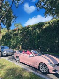 Ravoony Plus PET Glossy Baby Pink Car Vinyl Wrap review 0