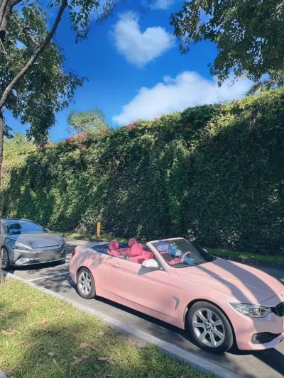 Ravoony Plus PET Glossy Baby Pink Car Vinyl Wrap review Éli Arsenault