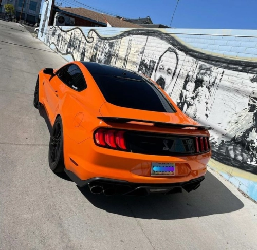 Ravoony Plus PET Gloss Orange Car Wrap review 