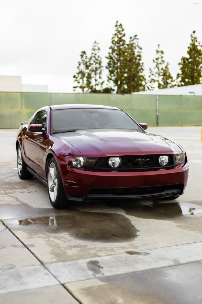 Ravoony Plus Liquid Metallic Dragon Blood Red Vinyl Car Wrap review Moon Jay 02