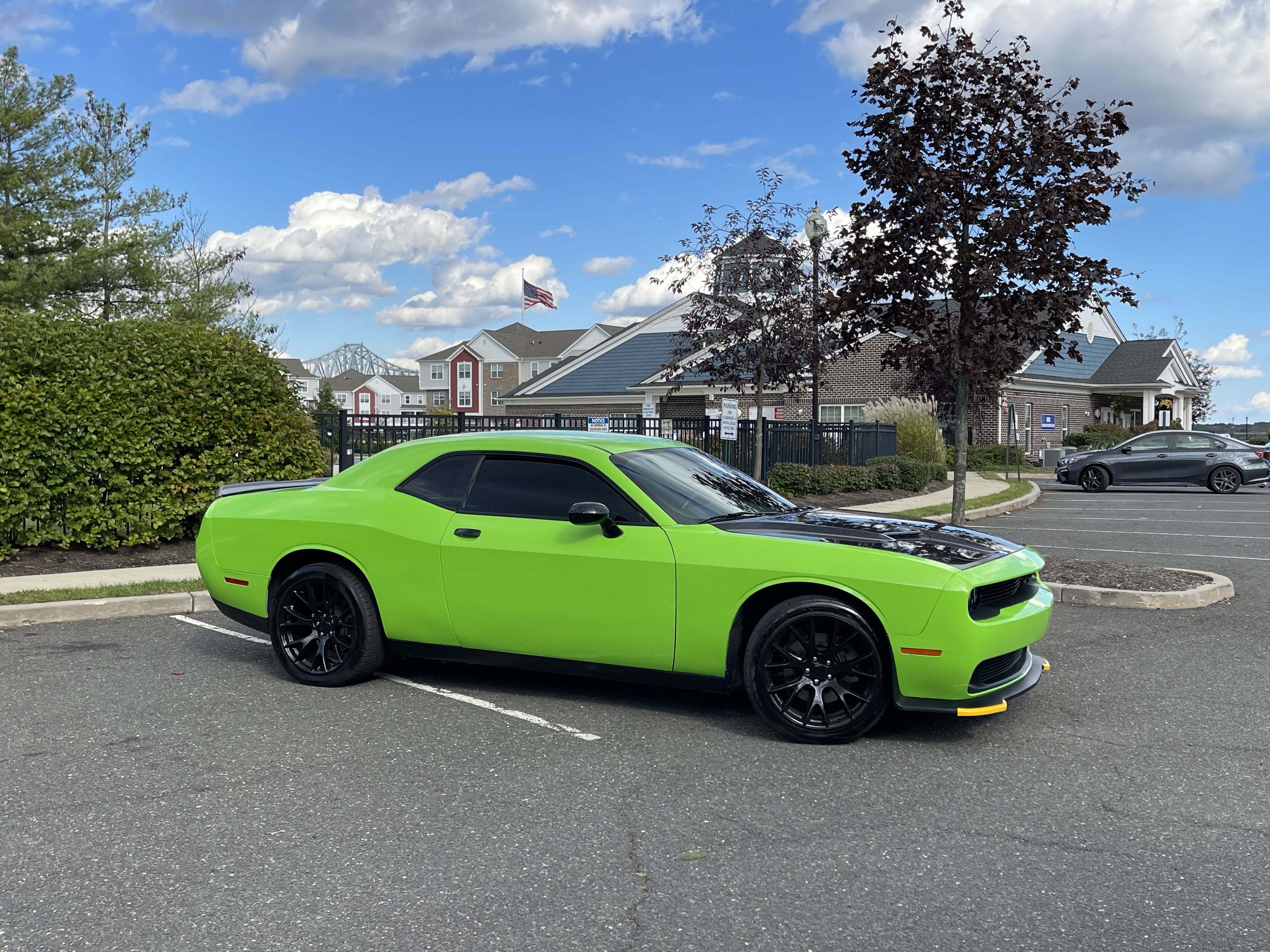 Ravoony Plus Lime Green Vinyl Wrap review Igor Sko 01