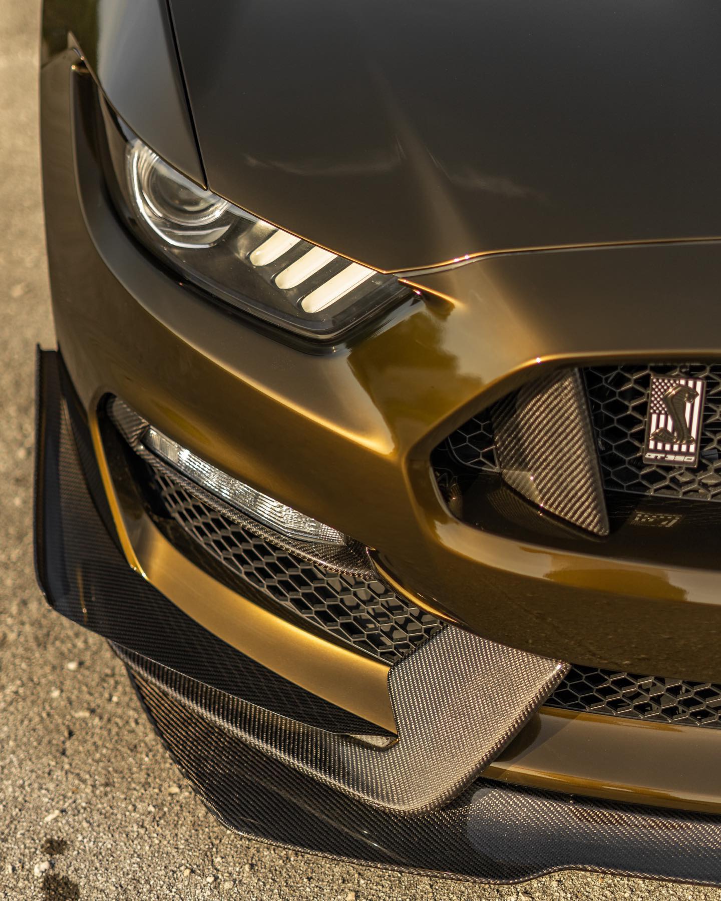 Ravoony Plus Gloss Midnight Gold Car Wrap review Braylen Gunn 01