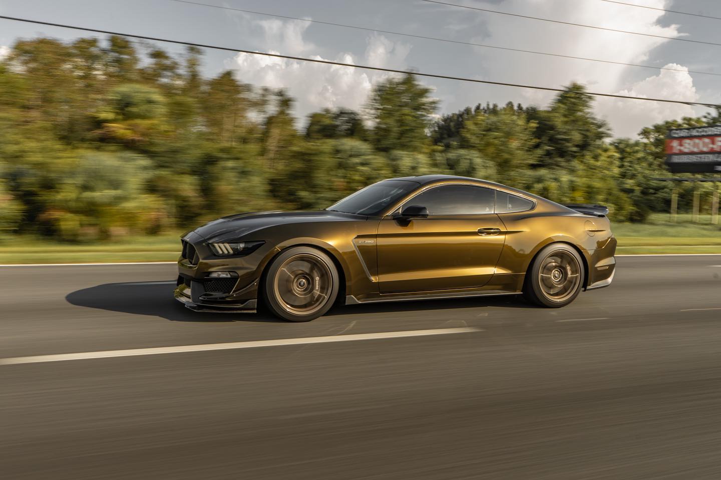 Ravoony Plus Gloss Midnight Gold Car Wrap review Braylen Gunn 00