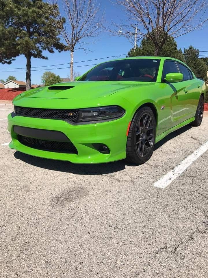 Ravoony Plus Lime Green Vinyl Wrap review Zenobia Sheremet