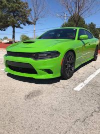 Ravoony Plus Lime Green Vinyl Wrap review 0