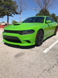  Ravoony Plus Lime Green Vinyl Wrap review 0