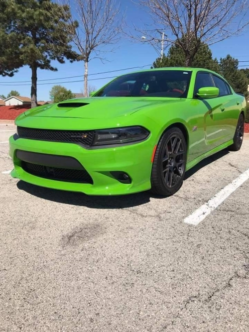 Ravoony Plus Lime Green Vinyl Wrap review 