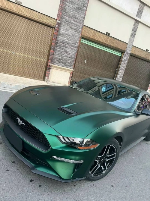 Ravoony Plus Matte Chrome Venom Green Car Wrap review 