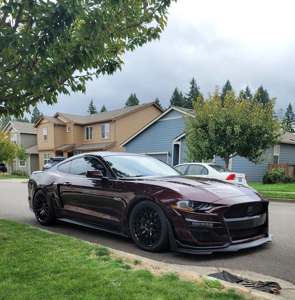 Ravoony Plus Gloss Black Rose Vinyl Wrap Mustang Vinyl Wrap review Walter Hines