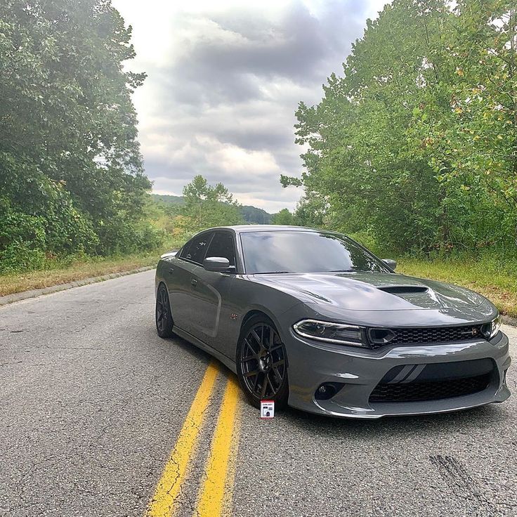 Ravoony Plus Gloss Nardo Grey Wrap review Cameron Robertson