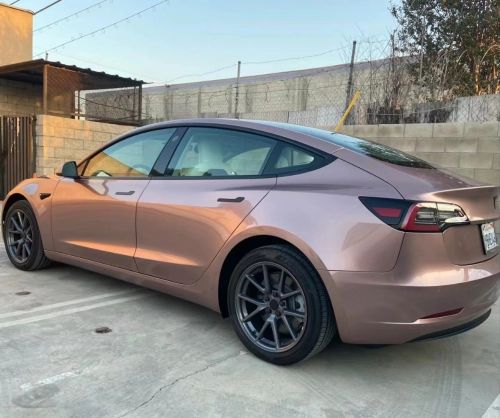 Ravoony Plus Glossy Frozen Berry Wrap review 