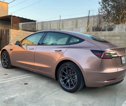 Ravoony Plus Glossy Frozen Berry Wrap review